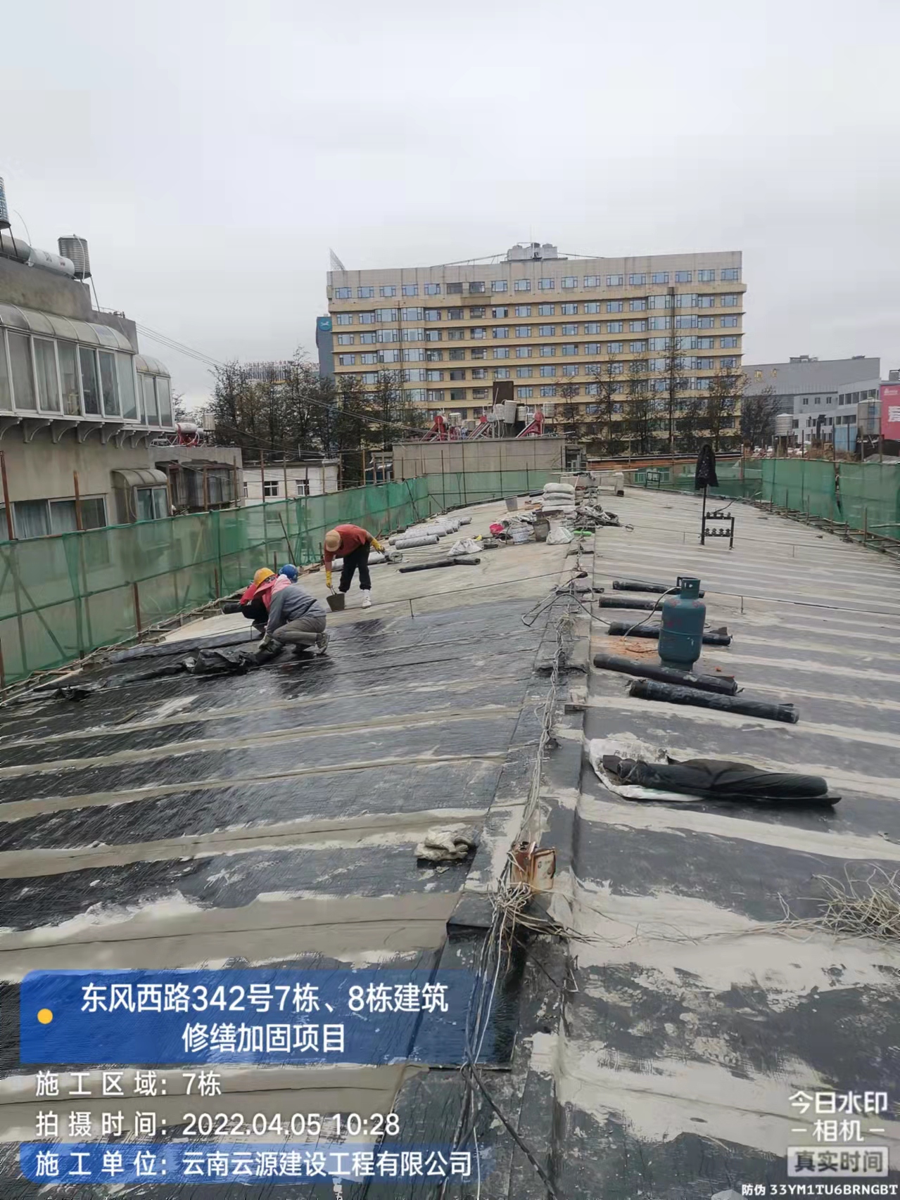 香港正牌挂牌之综合挂牌